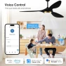 Превью 52 Inch Black Modern Ceiling Fan with Light and Remote Control — Smart Fan, reiga