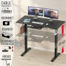 Превью Electric Height Adjustable Standing Desk with Drawer and Memory Preset — Standing Desk, SHW
