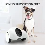Превью Movable Companion Robot for Pets — Robot Pet, OBEXX MORE THAN FUTURE