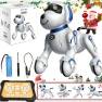 Interactive Dog Toy with Custom Programming - Robotic Companion