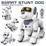 Interactive RC Robot Puppy — Robot Pet, JJRC