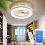 Modern Smart LED Ceiling Fan with Light — Smart Fan, The Romantics