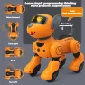 Remote Control Robot Dog Toy — Robot Pet, Hello Garden