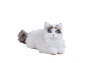 Ragdoll Robotic Pet Cat — Robot Pet, SEGA