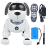 RC Robot Toy — Robot Pet, Neoglint