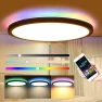 Smart Ceiling Light with RGB and WiFi Control — Smart Light Bulb, Refreshing Home