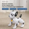 Remote Control Robot Dog — Robot Pet, Outdeer