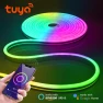 RGB Neon Light LED Strip — LED Strip Lights, MALITAI HOME LIGHT