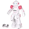 Smart Robot Toy, MIYAKO