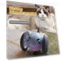 Interactive Smart Toy for Cats — Cat Playthings, Honwei