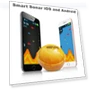 Wireless Bluetooth Smart Fish Finder Sonar Sensor — Boat Electronics, RUI RUI YU 7