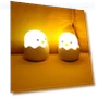 Silicone Touch Sensor Egg LED Night Light — Night Lights, Perphin Direct