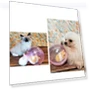 Smart Rolling Ball for Cats — Cat Playthings, Be Free