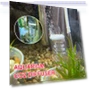 Aquarium CO2 Diffuser — Accessories, HOME LOVER
