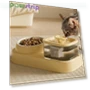 Automatic Pet Water Fountain and Feeder — Fountains, Pawstrip