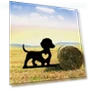 Smart Garden Peg for Dogs — Garden Stakes, CIFbuy