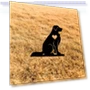 Smart Garden Peg for Dogs — Garden Stakes, CIFbuy