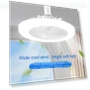 Smart Silent LED Ceiling Fan with Remote Control — Ceiling Fan Lighting Solutions, Binchi Lighting Appliances