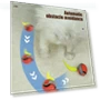 Interactive Cat Toy Ball — Cat Playthings, All in Watch