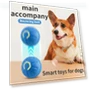 Smart Electric Pet Jump Ball — Interactive Animal Companions, AE Selection