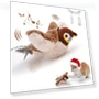 Rechargeable Flying Bird Toy for Cats — Cat Playthings, Diana Pet Stuff