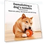 Smart Electronic Interactive Pet Toy Ball — Automatic Launchers, GYROBALL