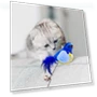 Squeaky Bird Cat Toy — Cat Playthings, Love DIY