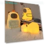 Capybara Night Light — Lamps & Shades, Exquisite goods home furnishing