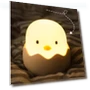 Chick Egg Night Light — Night Lights, Exquisite goods home furnishing