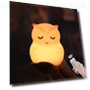 LED Owl Night Light — Night Lights, Exquisite goods home furnishing