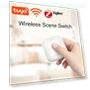 2 Gang Wireless Remote Control Switch — Smart Home Hubs & Controllers, HIMO Group