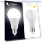 LED Light Bulb with Light Sensor — LED, 888 Auto Parts Town
