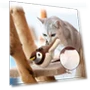 Rechargeable Flying Bird Toy — Cat Playthings, Simplistic Living Home