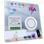 WiFi Smart Switch Modules — Smart Home Modules, Lntelligent Living Hall