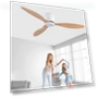 Modern Fan with Quiet DC Motor — Ceiling Fans, Seahorse Home