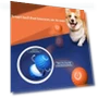 Smart Interactive Pet Toy Ball — Interactive Animal Companions, AE Selection