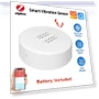 Vibration and Tilt Sensor — Smart Home Security, Super Dream Home