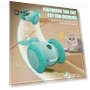 Interactive Cat Toy — Cat Playthings, Kitty Cat House