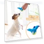 Interactive Chirping Bird Toy for Cats — Cat Playthings, All in Watch