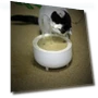 Automatic Fountain Filter for Cats — Pet Hydration Solutions, Indoor Furniture