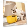 Automatic Filter Cat Water Fountain — Pet Hydration Solutions, Pet daily necessities