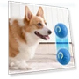Automatic Moving Dog Toy Ball — Automatic Launchers, Pet daily necessities