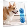 Automatic Moving Dog Toy Ball — Automatic Launchers, Pet daily necessities
