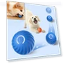 Automatic Moving Jumping Rolling Ball — Automatic Launchers, Pet daily necessities