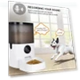 Automatic Pet Feeder — Feeders, Decor Life Global