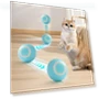 Automatic Rolling Pet Toy — Cat Playthings, Family Circle