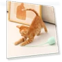 Electric Cat Teaser Stick — Cat Playthings, Pet daily necessities