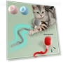 Electric Cat Toys with Ball — Cat Playthings, Pet daily necessities
