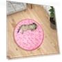 Interactive Cat Toy with USB Charging — Cat Playthings, Actually lighting