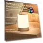 LED Bedside Touch Sensor Night Light — Night Lights, paraiclukl